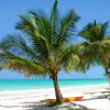 8 days Zanzibar beach holiday tour