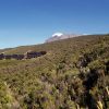 6 days Machame route Kilimanjaro climbing/trekking 2024