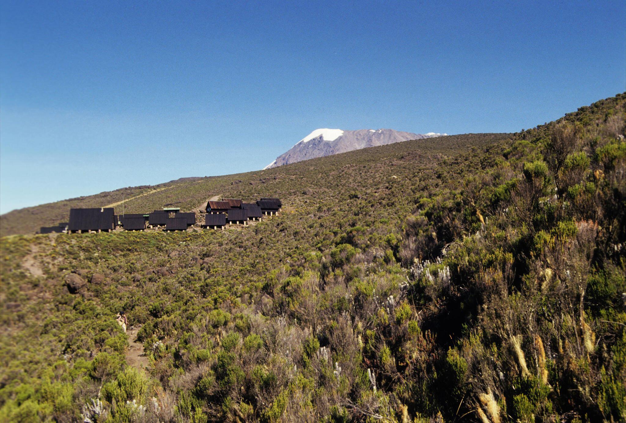 6 days Machame route Kilimanjaro climbing/trekking 2024