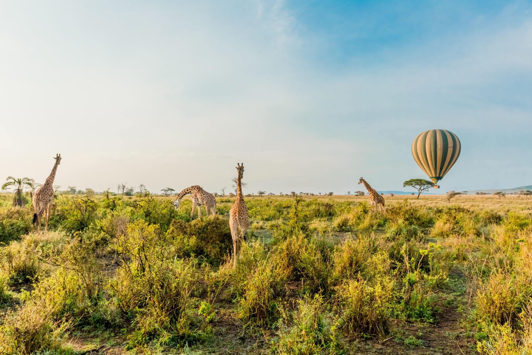 4 days Serengeti Balloon Safari