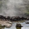 3 days Tanzania safari to Serengeti and Ngorongoro
