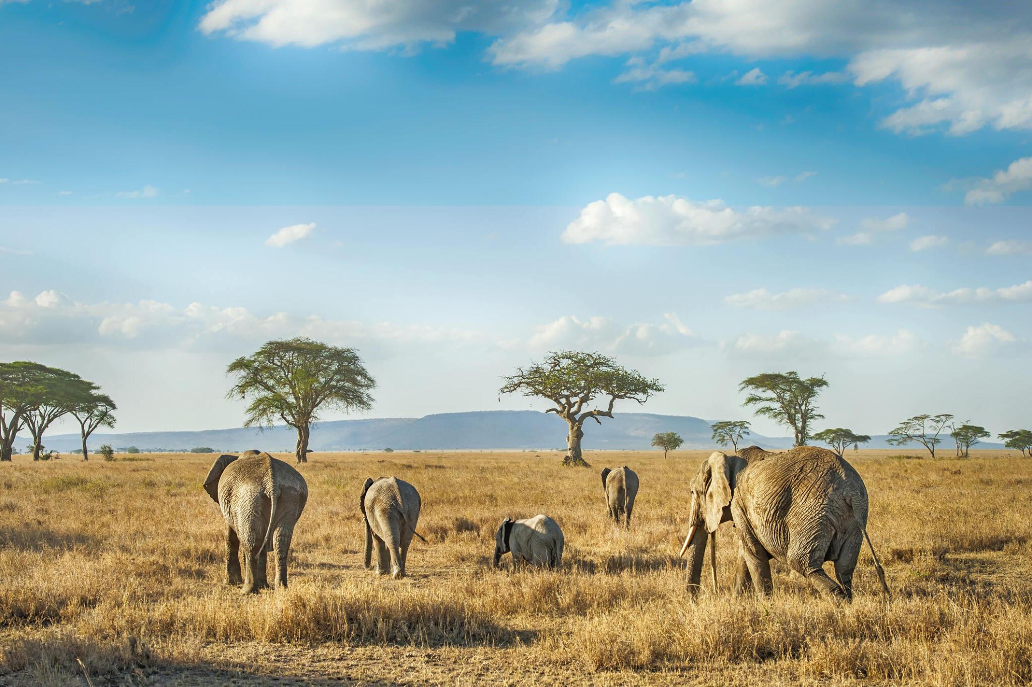 6-day Tanzania Northern Circuit Safari