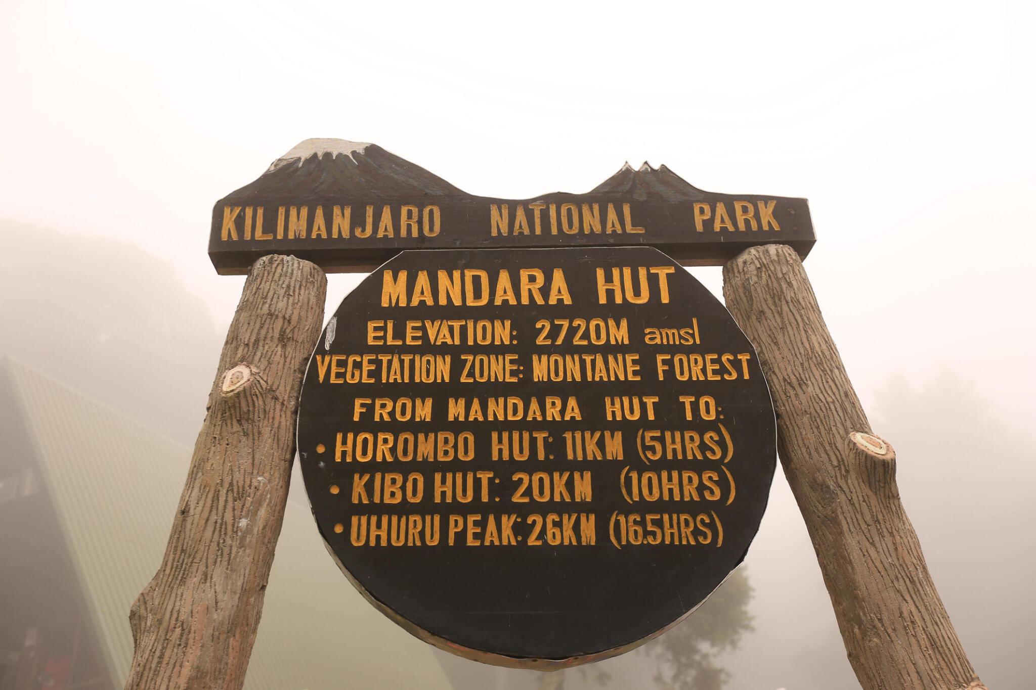 6 days Machame route Kilimanjaro climbing/trekking 2024